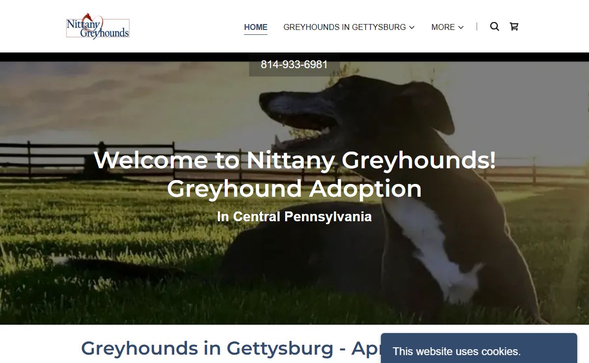 Greyhound Adoptions, Rescue and Kennel