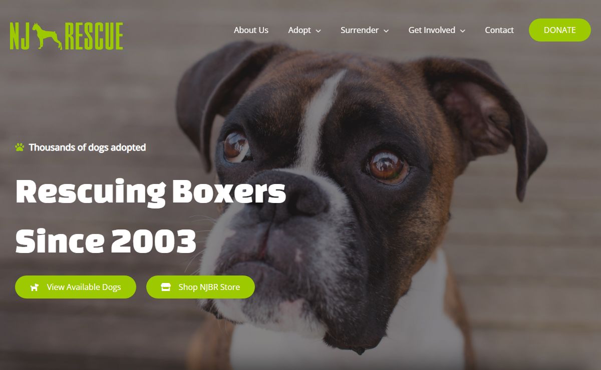 New Jersey Boxer Rescue