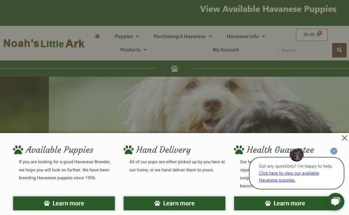 AKC Registered and Hand Delivered Havanese Puppy Adoption | Noah's Little Ark