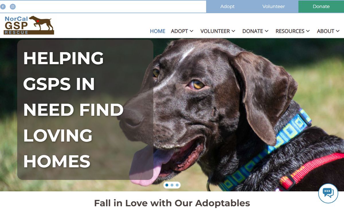 Home - NorCal GSP Rescue