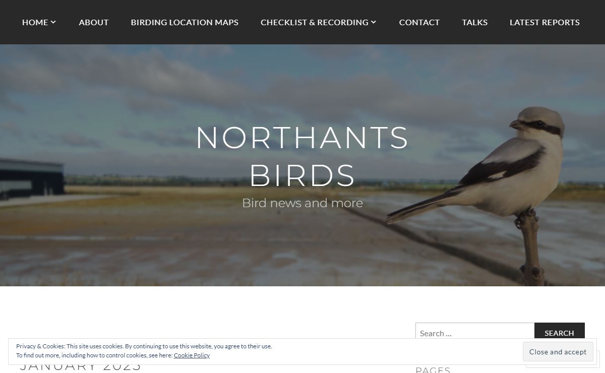 Northants birds – Bird news and more