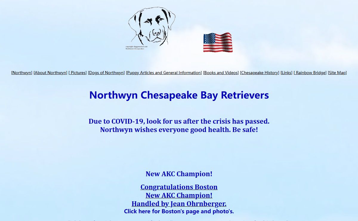 Northwyn Chesapeake Bay Retrievers