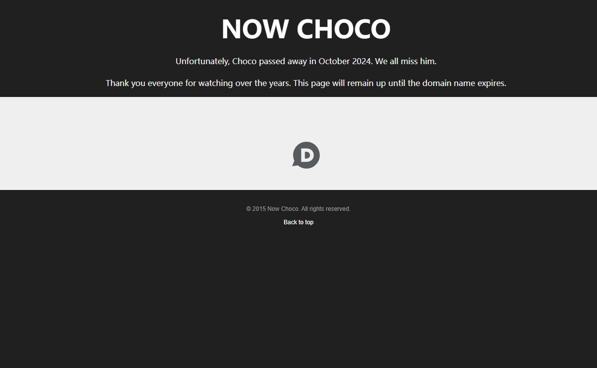 Live cat webcams | Now Choco