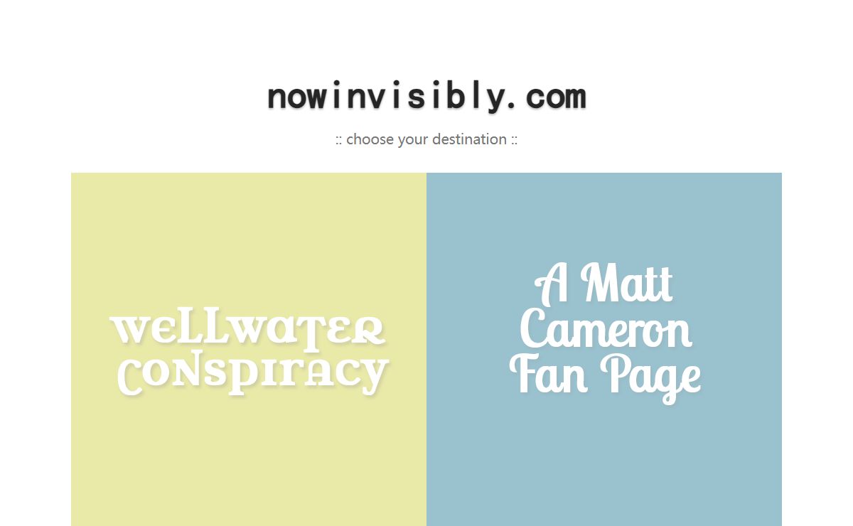 nowinvisibly.com