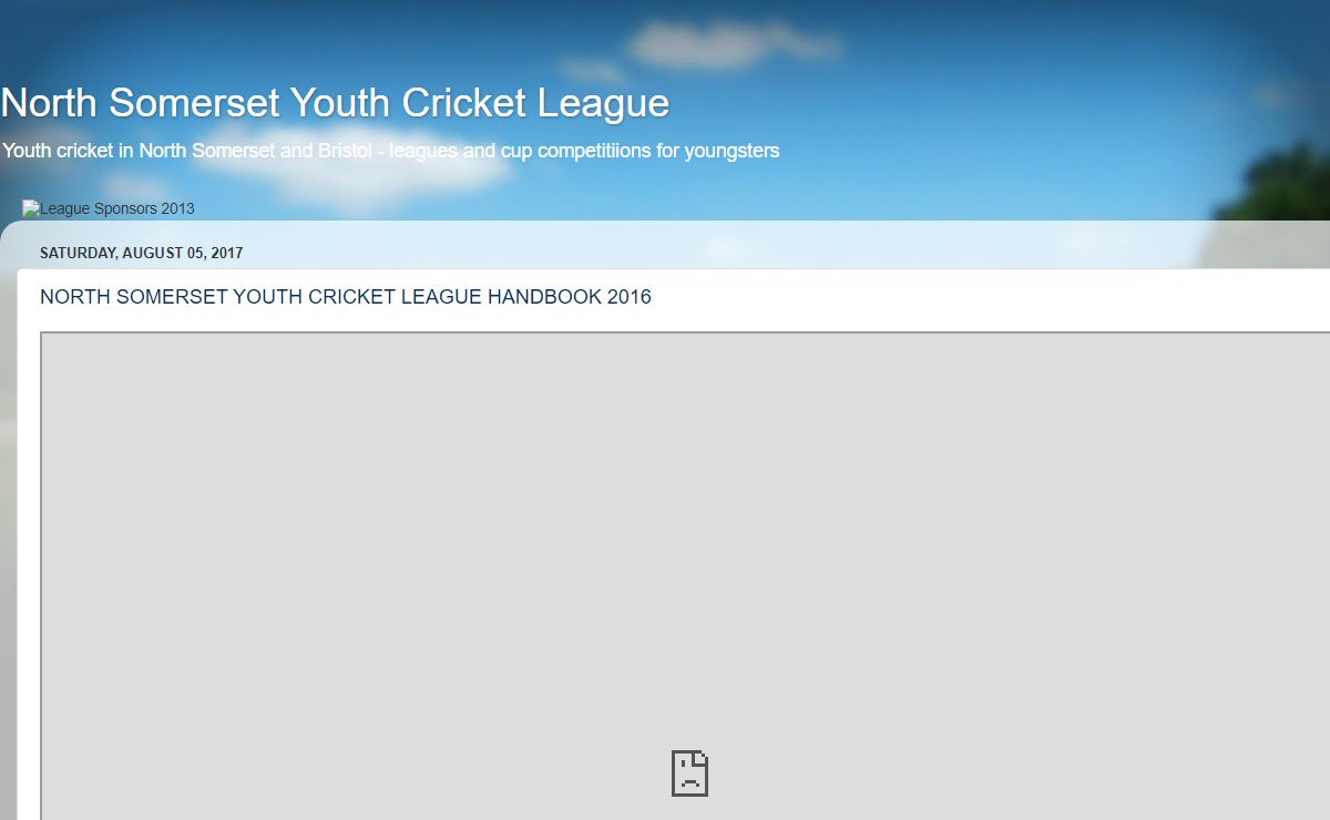 North Somerset Youth Cricket League