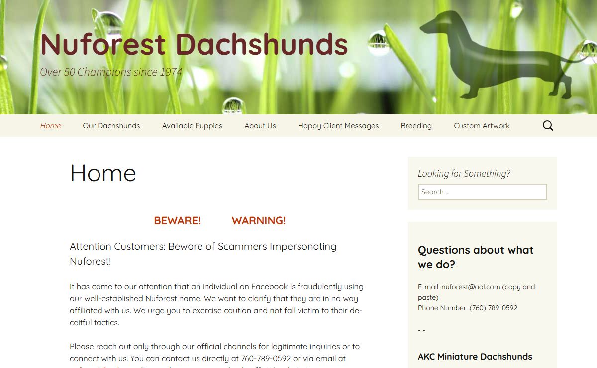 Nuforest Dachshunds | AKC Registered Miniature Dachshunds | Longhaired | Wirehaired | Smooth
