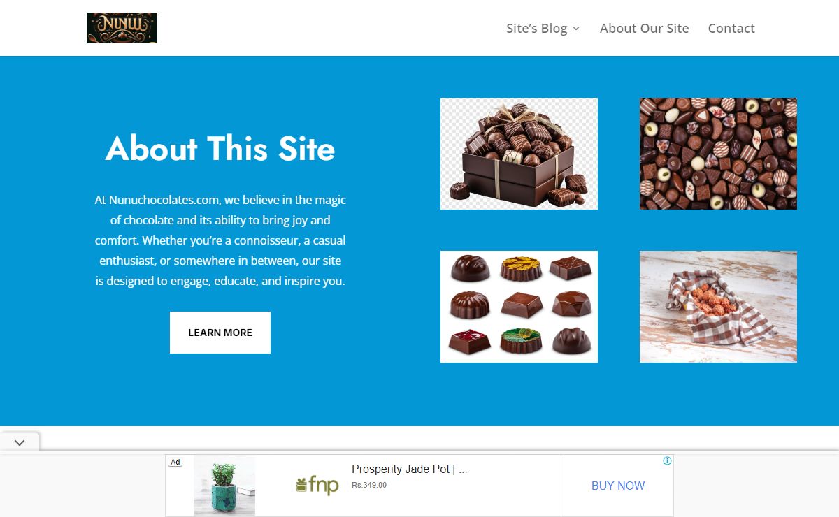 Nunu Chocolates | Chocolates Made With Love