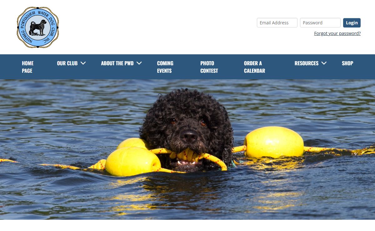 Home - Nutmeg Portuguese Water Dog Club