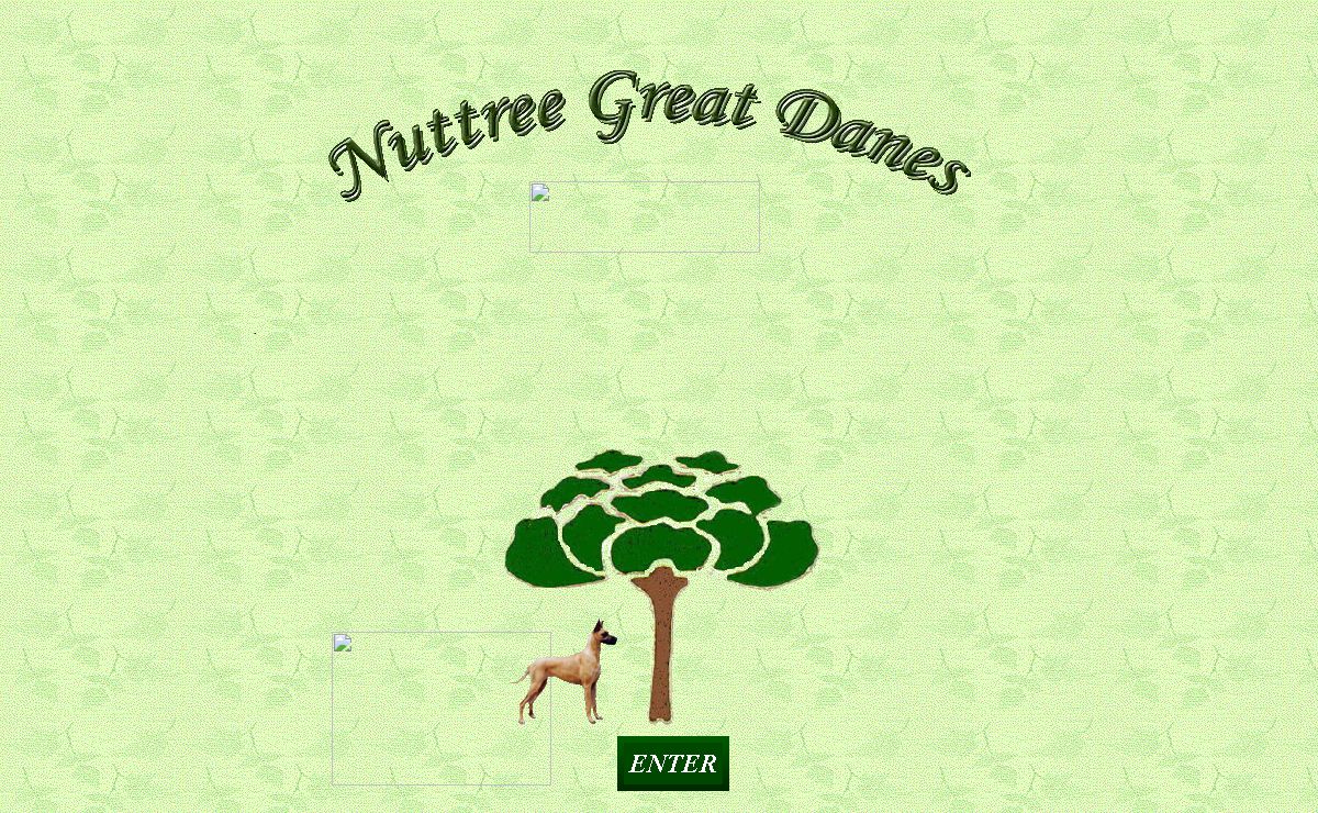 Nuttree Great Danes Fawns and Brindles