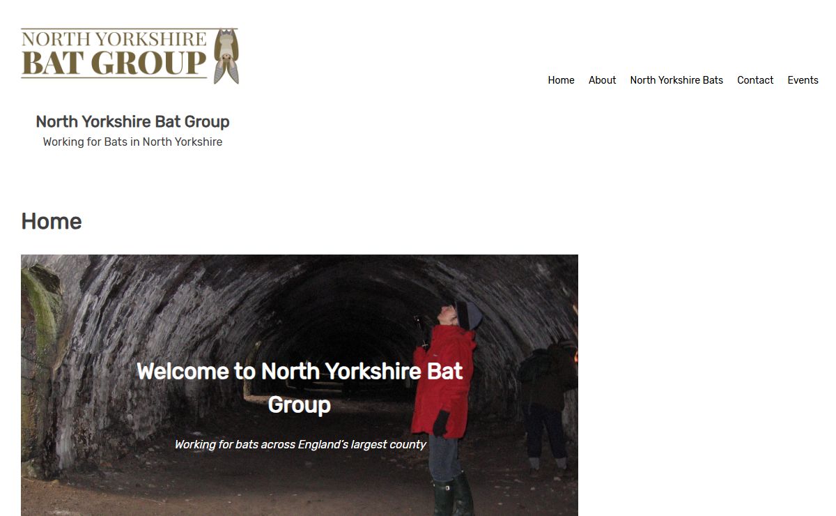 North Yorkshire Bat Group – Working for Bats in North Yorkshire
