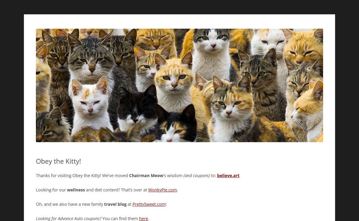 Obey the Kitty!