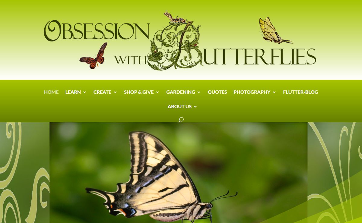 Obsession with Butterflies | Butterflies representing endurance, change, hope, and life.