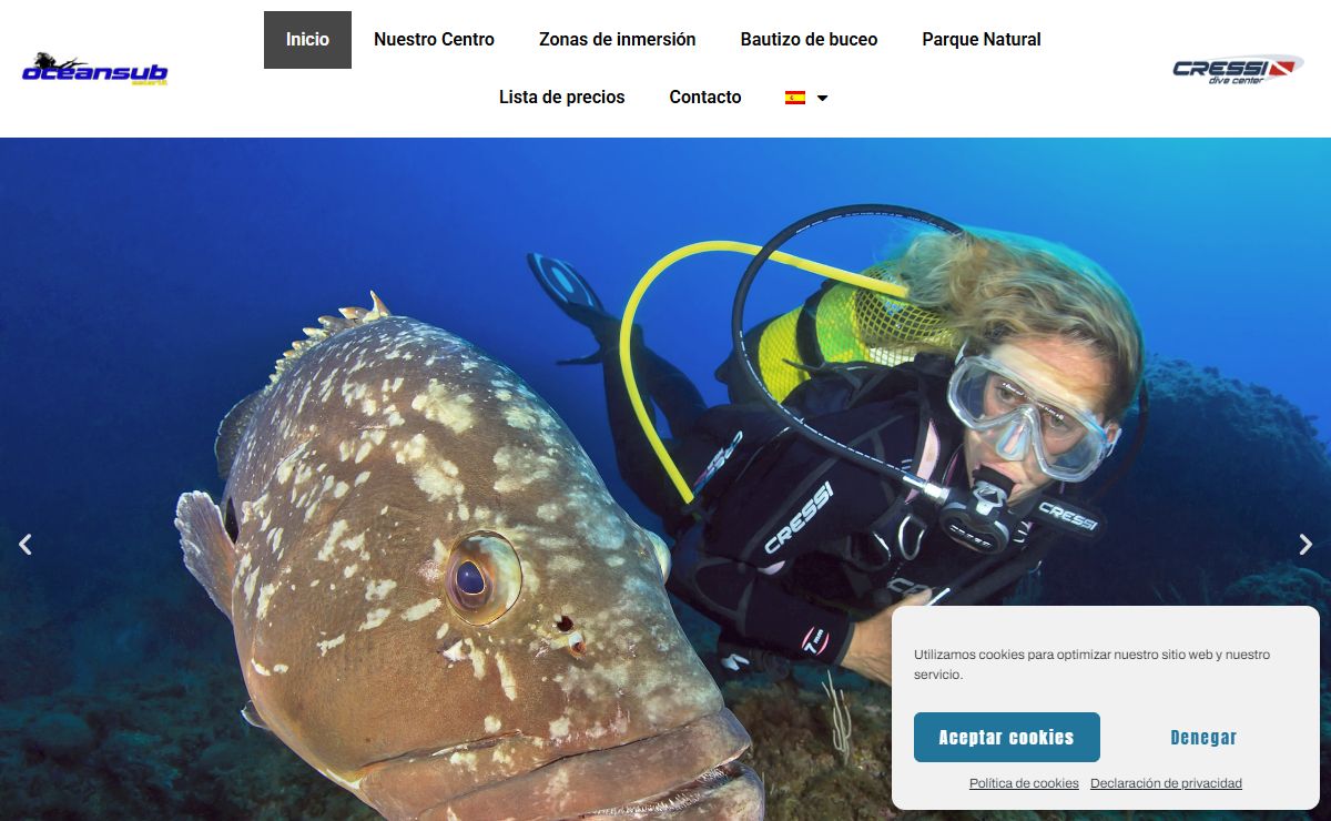Inicio - OceanSub Estartit