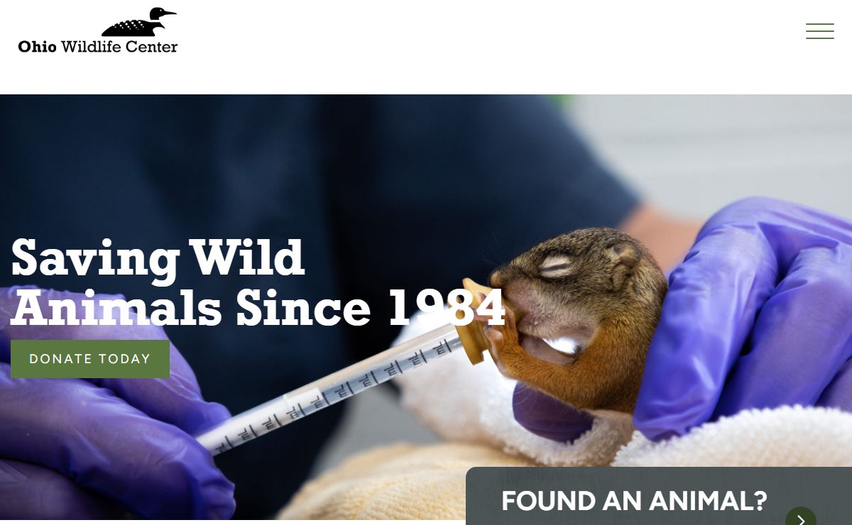 Ohio Wildlife Center | Humane Wildlife Control & Animal Rehabilitation