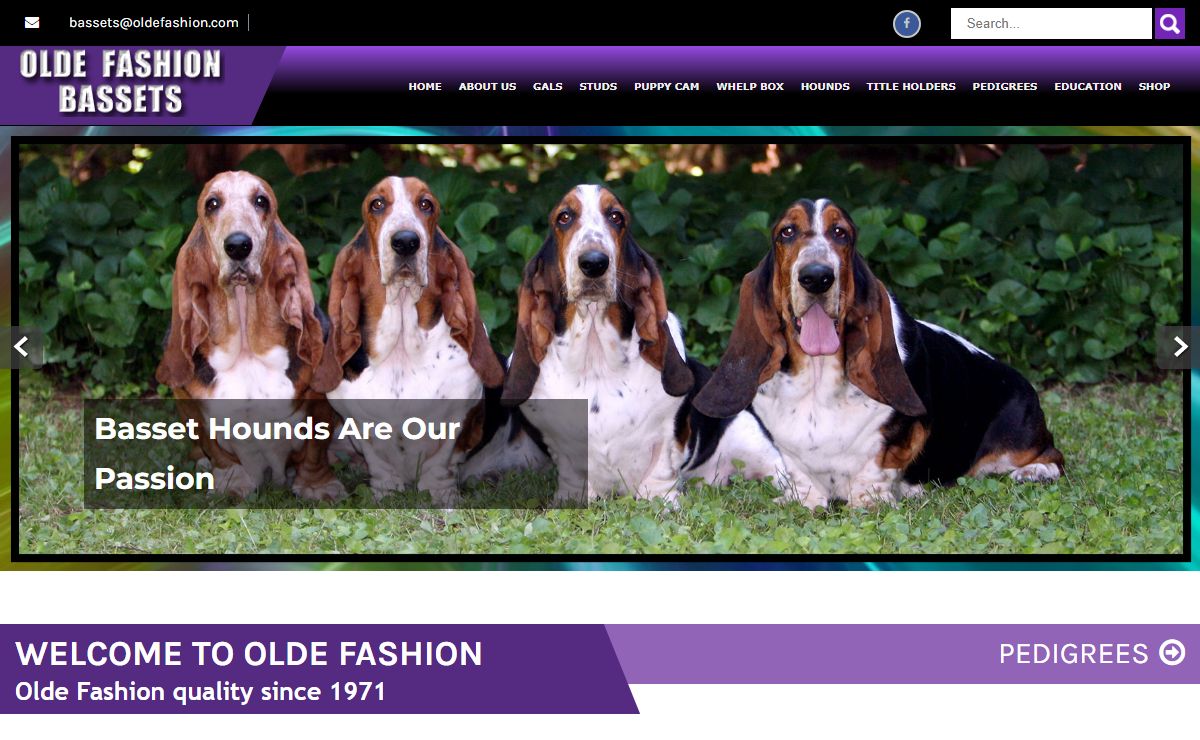 Olde Fashion Bassets -