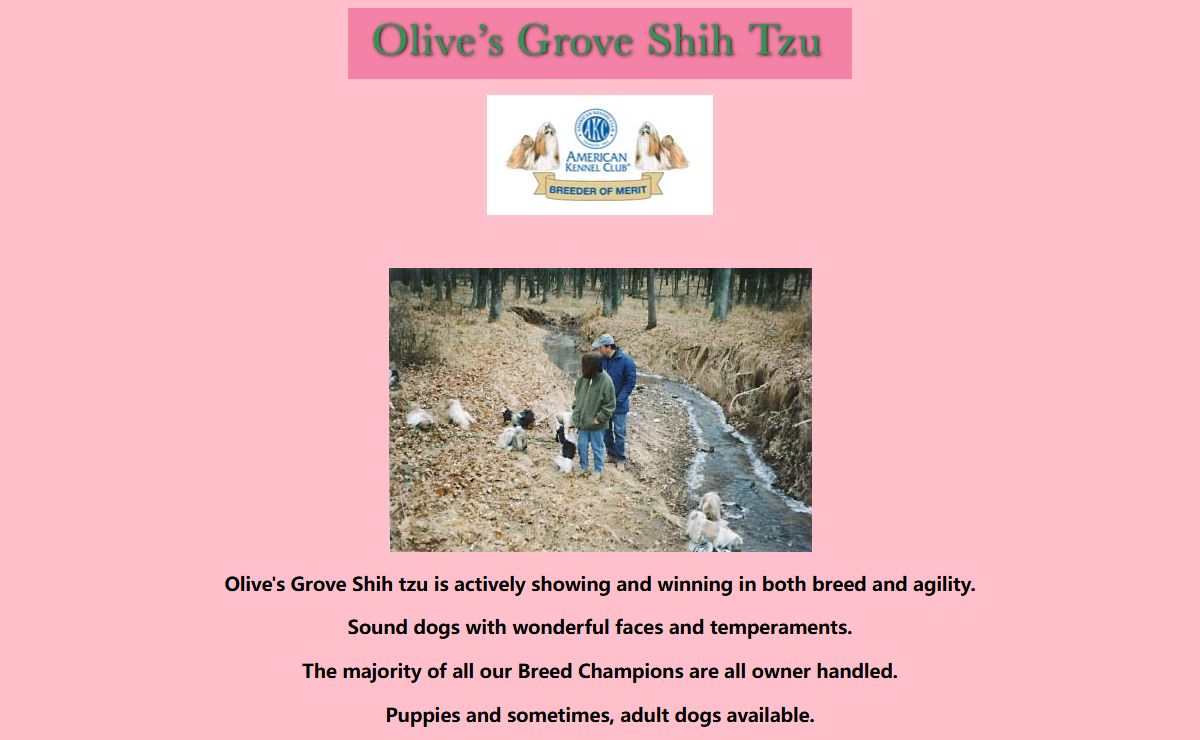Olive's Grove Shih Tzu - Quality Dog breeder