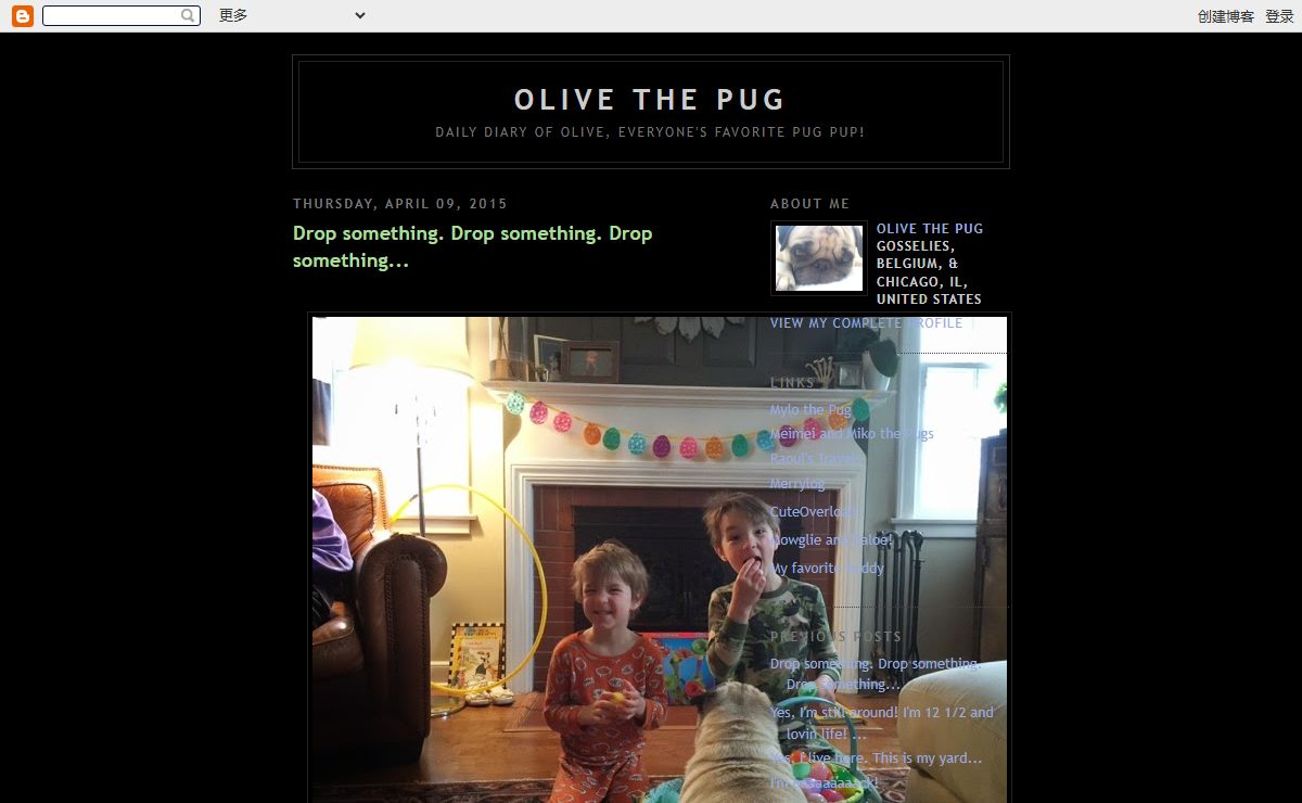 Olive the Pug