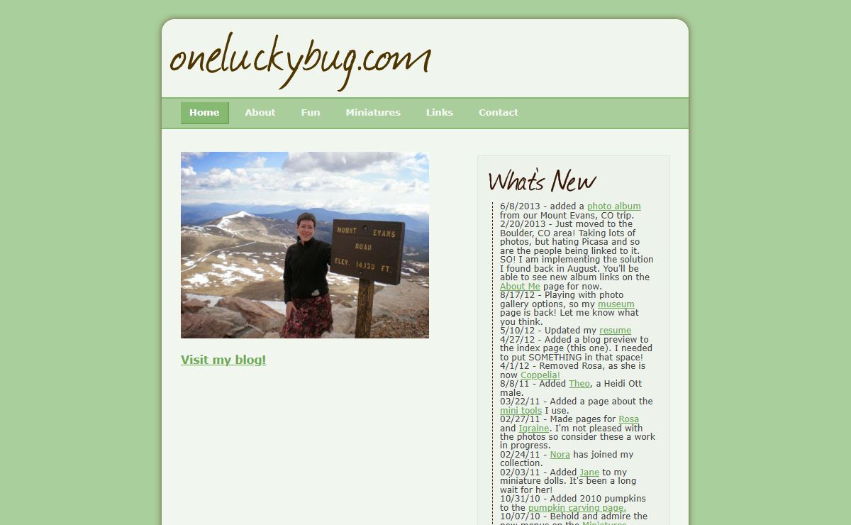 Welcome to Oneluckybug.com!