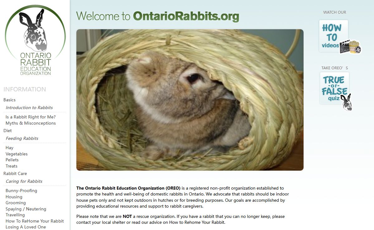 Ontario Rabbit Education Organization
