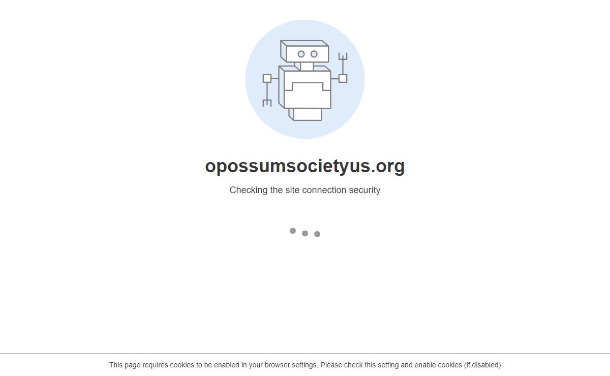 Robot Challenge Screen