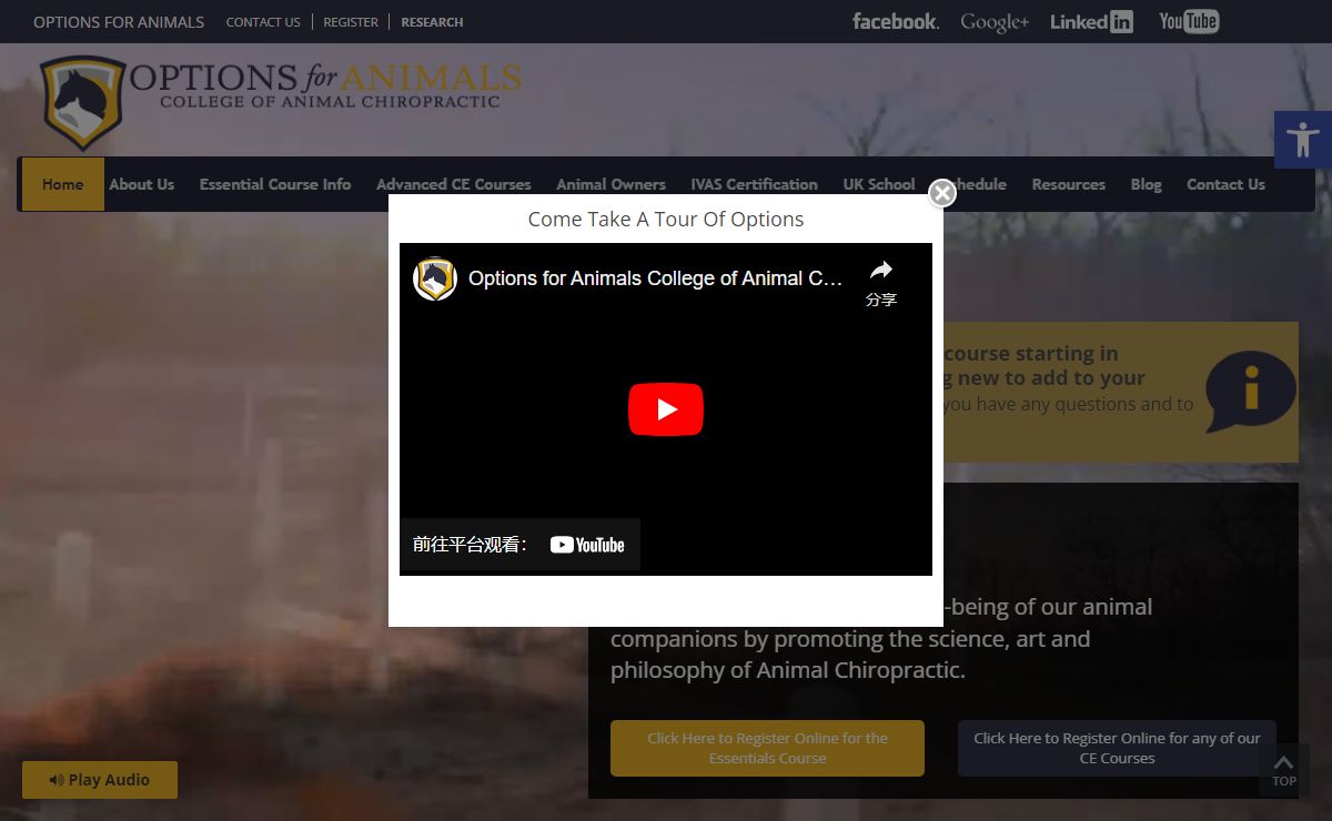 College of Animal Chiropractic | Options For Animals