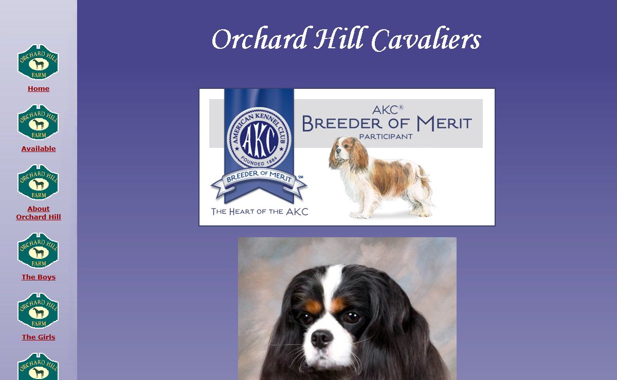 Orchard Hill Cavaliers