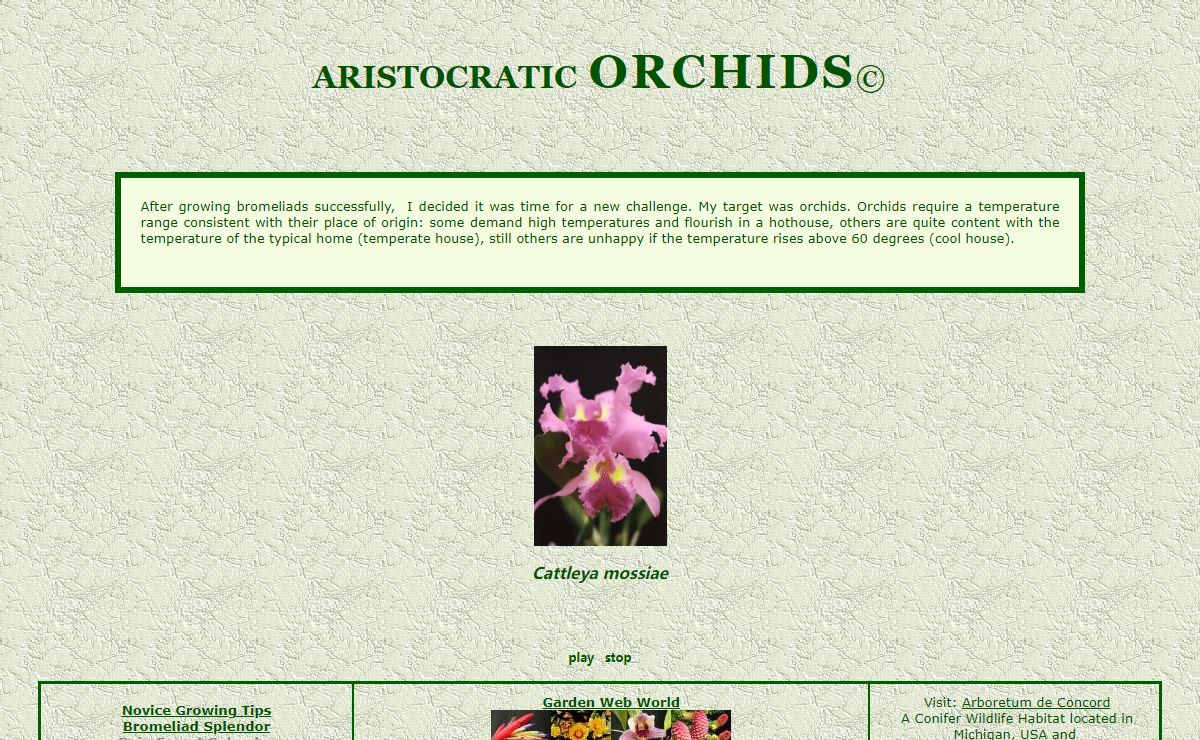 ARISTOCRATIC ORCHIDS