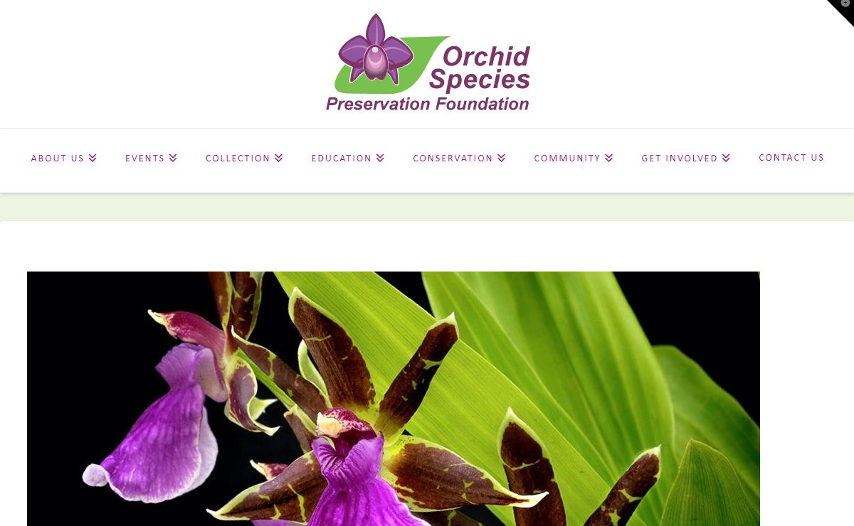 Home - Orchid Species Preservation Foundation