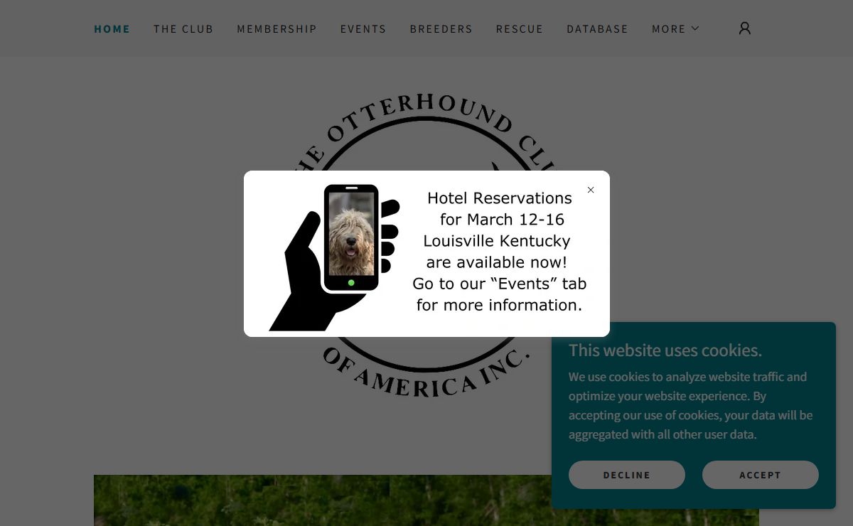The Otterhound Club of America, Inc.