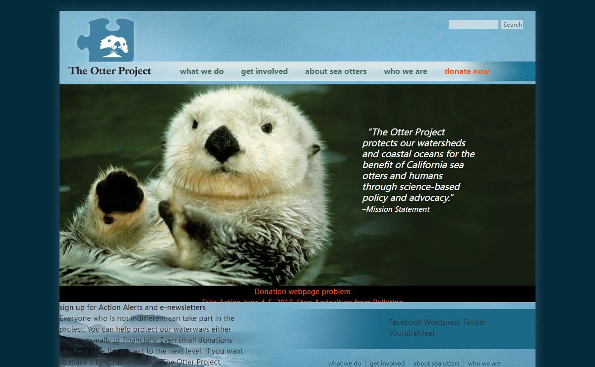 The Otter Project