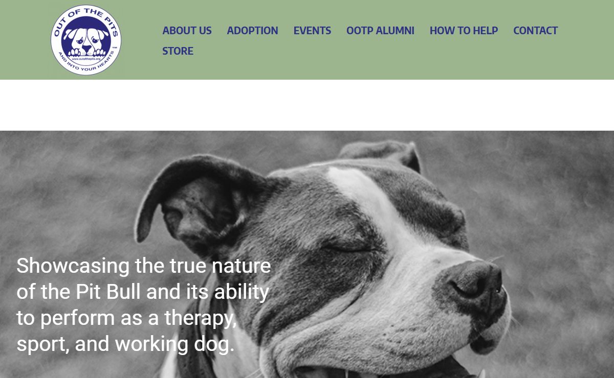 Out of the Pits – and into your hearts! | Pit Bull Dog Rescue based out of Albany NY – Showcasing the true nature of the Pit Bull and its ability to perform as a therapy, sport, and working dog.