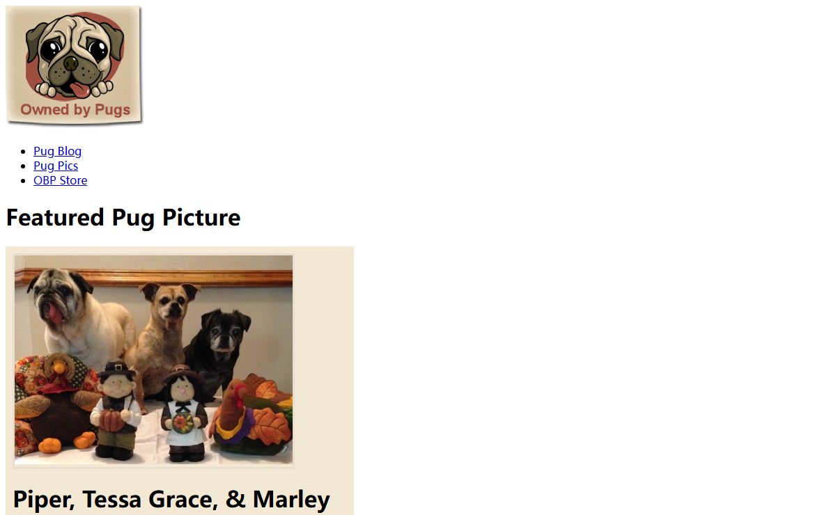 Owned By Pugs - An online community about pugs for pug lovers!