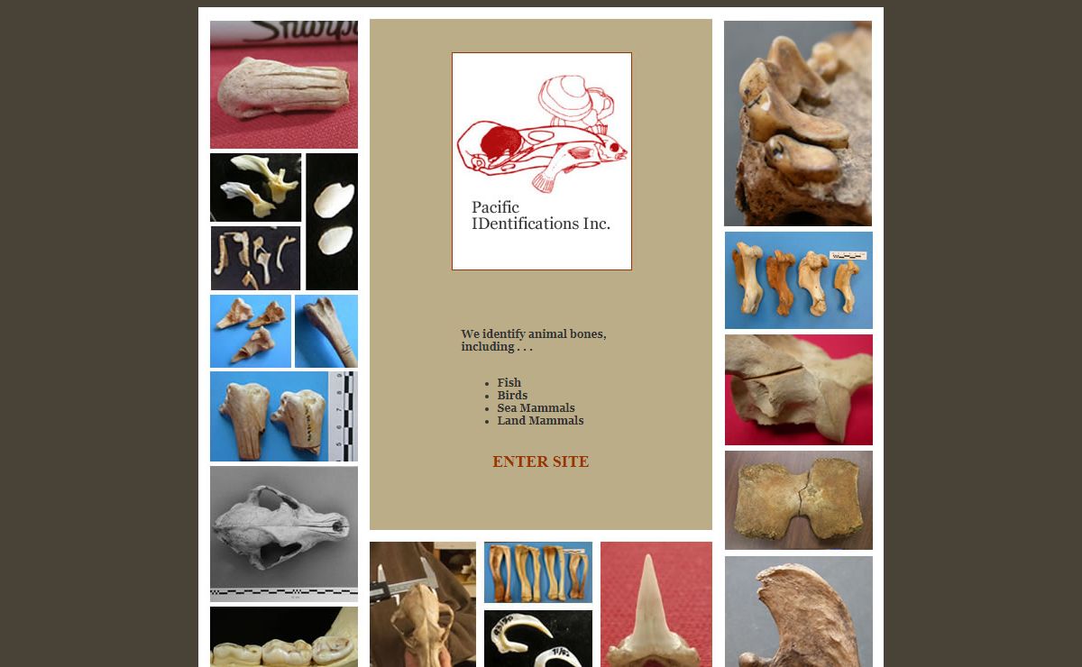 Pacific Identifications Inc.