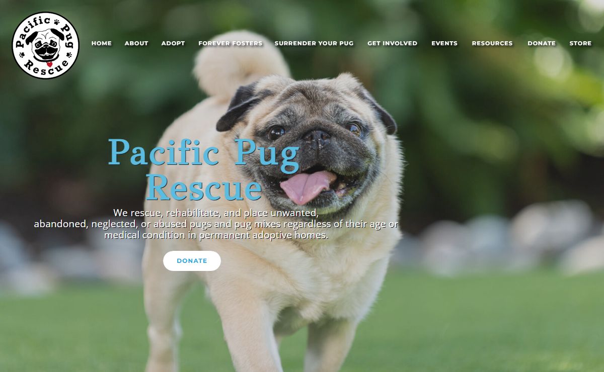 Pacific Pug Rescue - Home