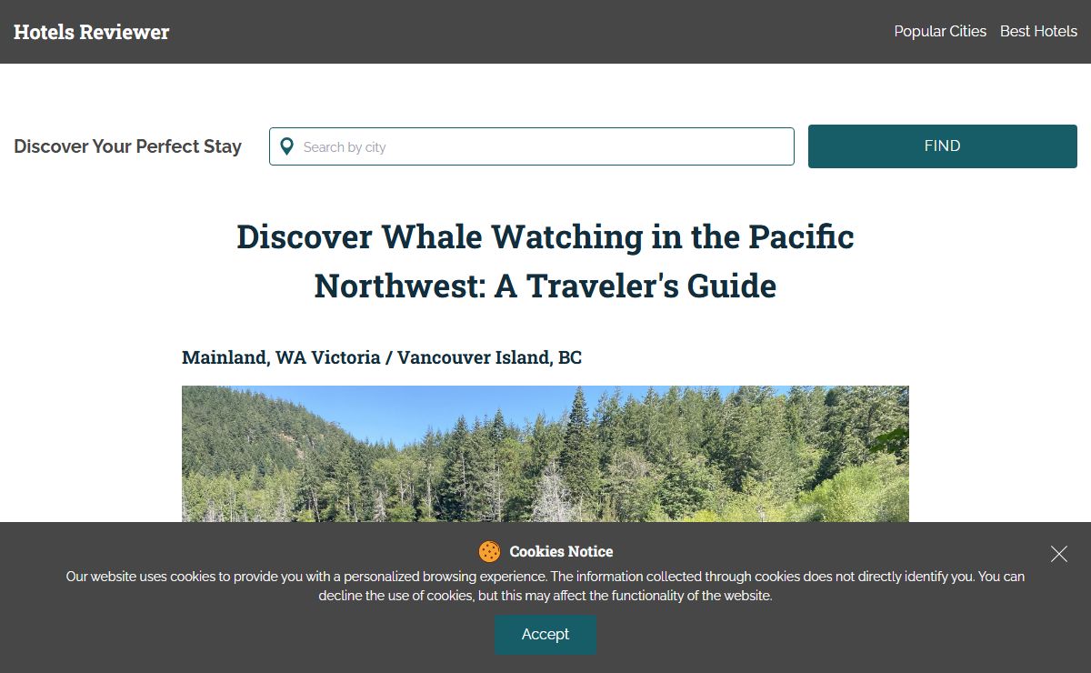 Discover Whale Watching in the Pacific Northwest: A Traveler's Guide