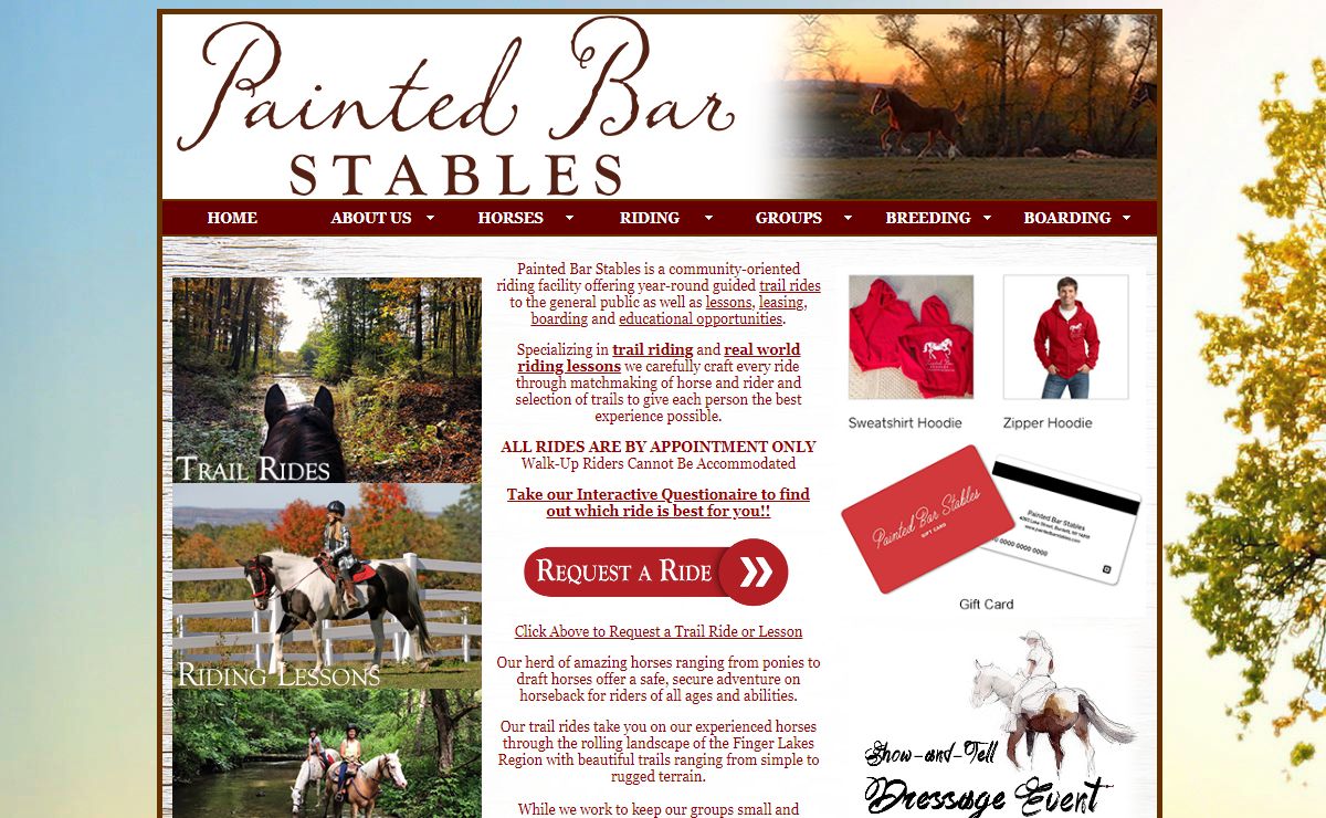 Painted Bar Stables - Your Place on a Horse