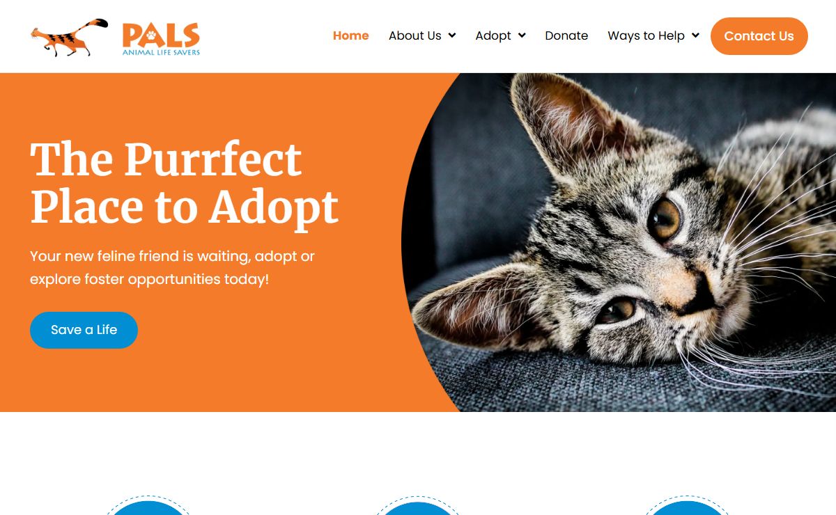 Cat Adoption - PALS Animal Life Savers