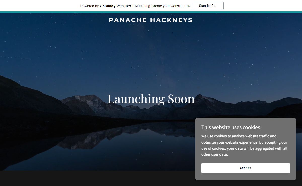 panachehackneys.com