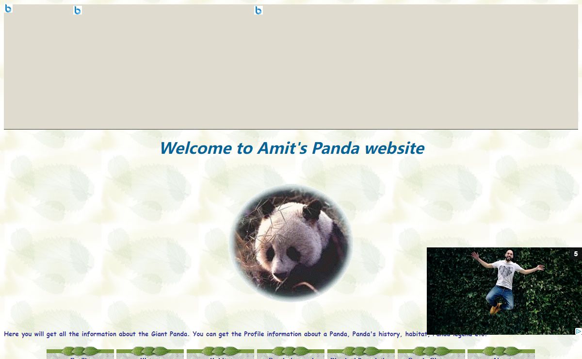 Welcome to Amit's Panda Website