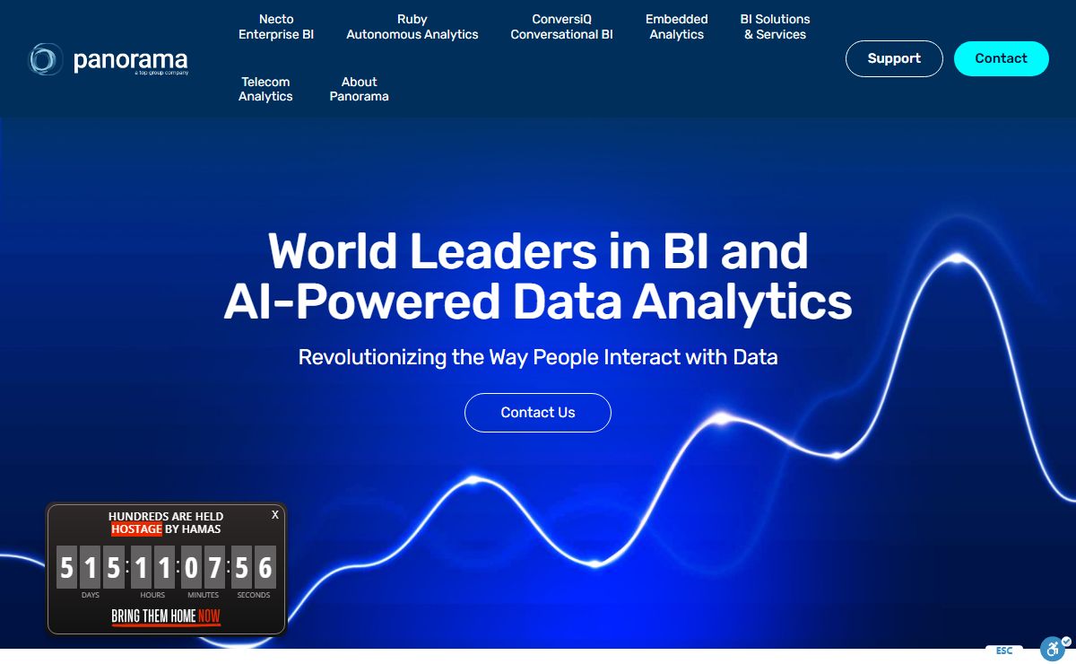 Panorama - BI & Data Analytics