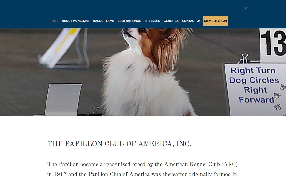 Papillon Club of America
