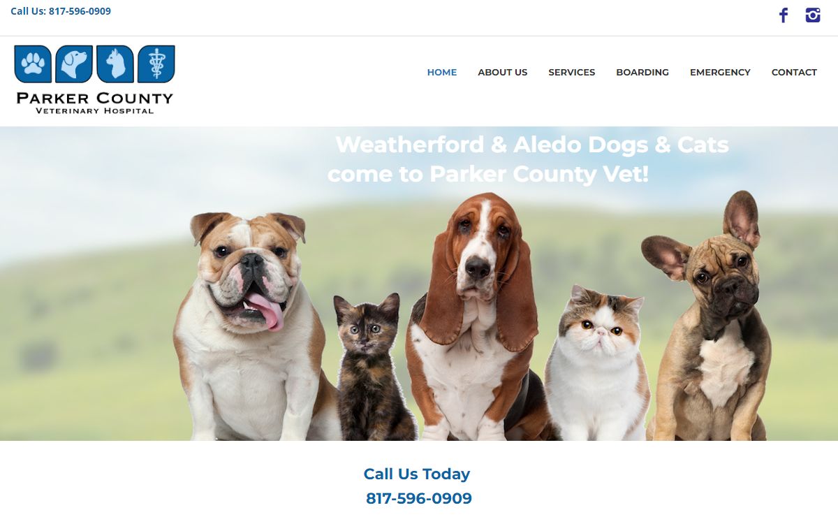 Parker County Vet Hospital – Weatherford's Best Veterinarian Clinic