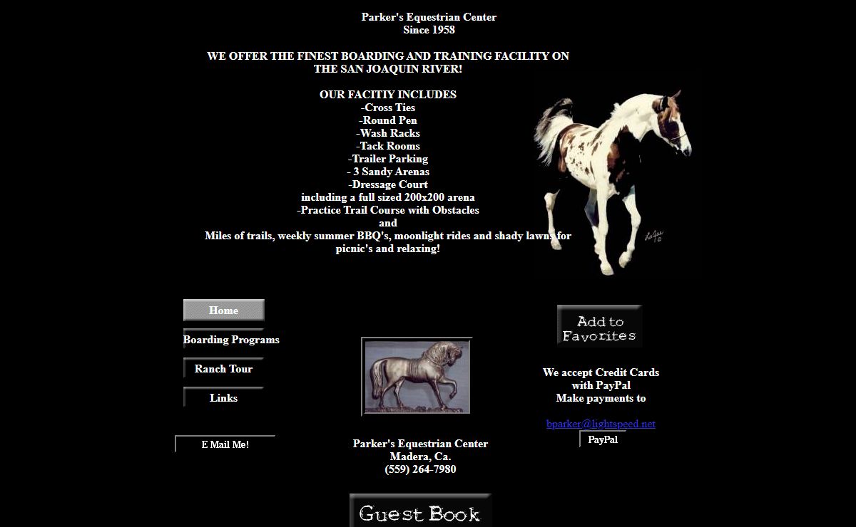 Parker Equestrian Center 'Hot Spotz' NSH Stallion