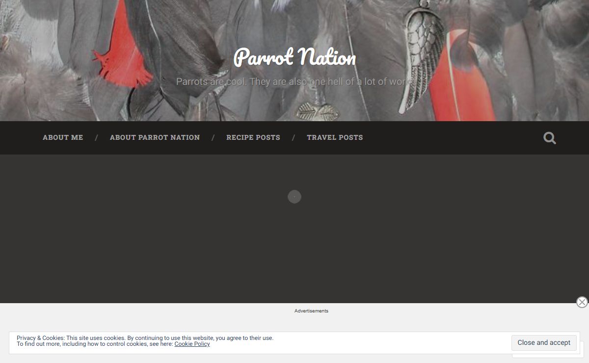 Parrot Nation – Parrots are cool. They are also one hell of a lot of work.