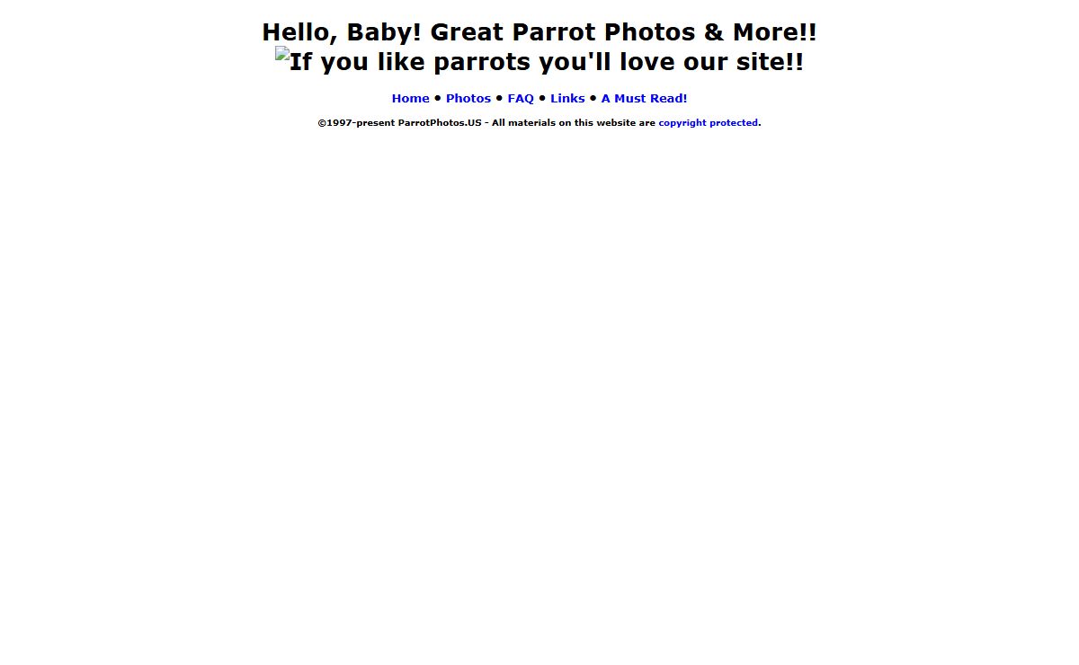 Hello, Baby! ParrotPhotos.US