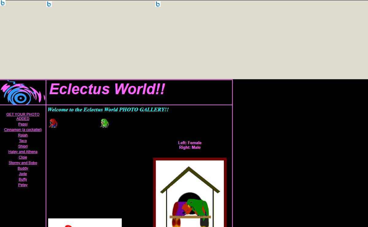 Eclectus World!!