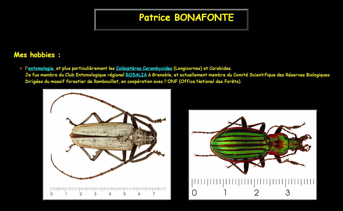 PATRICE BONAFONTE