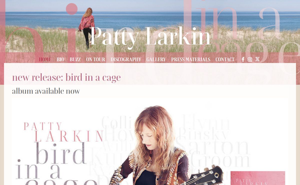 new release: bird in a cage | Patty Larkin