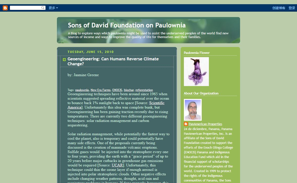 Sons of David Foundation on Paulownia