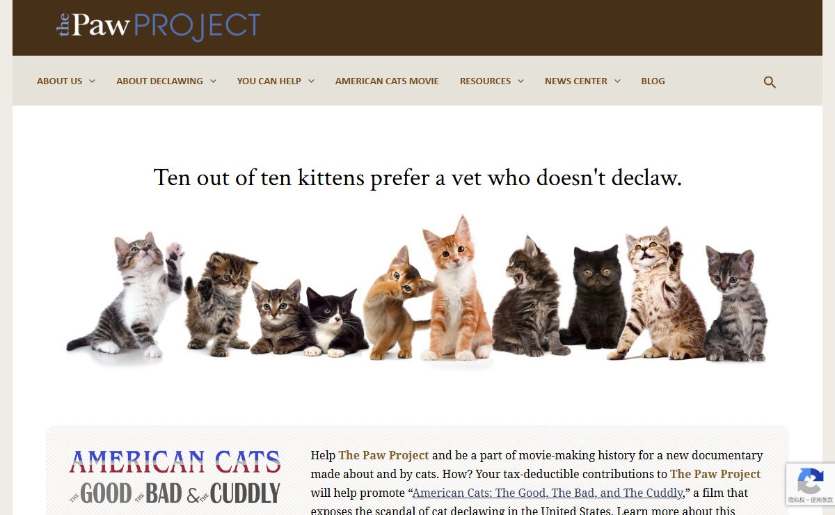 The Paw Project - Cat Paws Need Their Claws